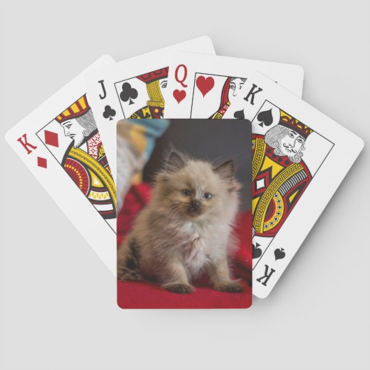 Kutest Baby Animals | Siamese Kitten Pokerkaarten (Achterkant)
