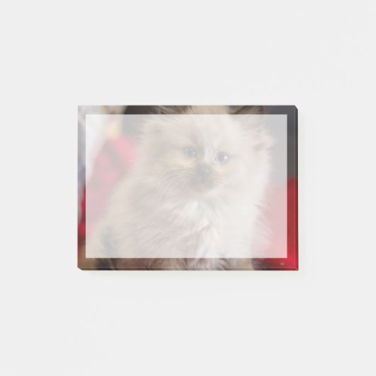 Kutest Baby Animals | Siamese Kitten Post-it® Notes (Voorkant)