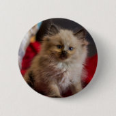 Kutest Baby Animals | Siamese Kitten Ronde Button 5,7 Cm (Voorkant)