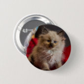Kutest Baby Animals | Siamese Kitten Ronde Button 5,7 Cm (Voorkant /achterkant)