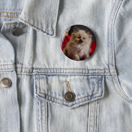 Kutest Baby Animals | Siamese Kitten Ronde Button 5,7 Cm (In situ)