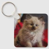 Kutest Baby Animals | Siamese Kitten Sleutelhanger (Voorkant)