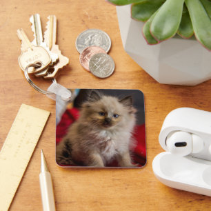 Kutest Baby Animals   Siamese Kitten Sleutelhanger