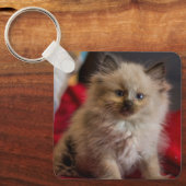Kutest Baby Animals | Siamese Kitten Sleutelhanger (Voorkant)
