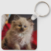 Kutest Baby Animals | Siamese Kitten Sleutelhanger (Achterkant)