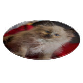 Kutest Baby Animals | Siamese Kitten Snijplank (Hoek)
