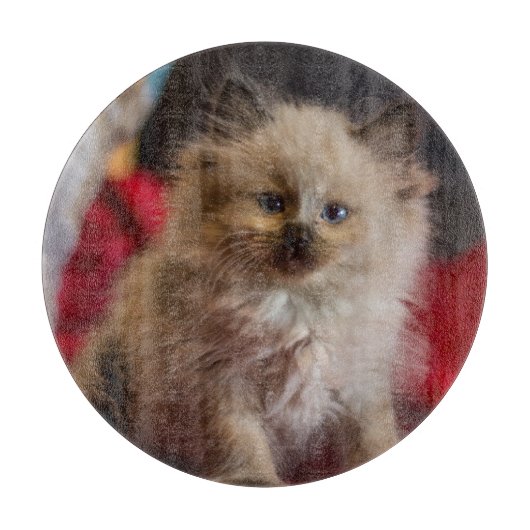 Kutest Baby Animals | Siamese Kitten Snijplank (Voorkant)