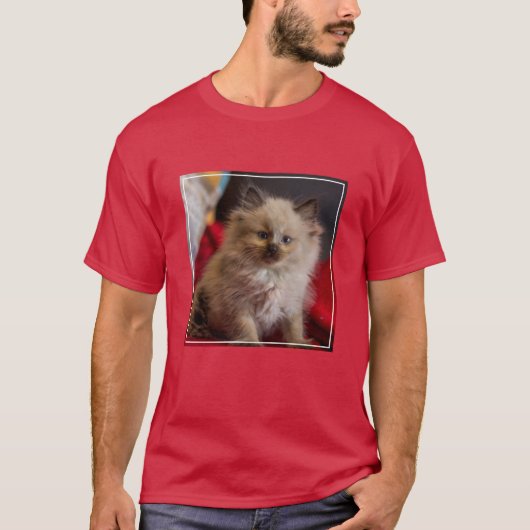 Kutest Baby Animals | Siamese Kitten T-shirt (Voorkant)