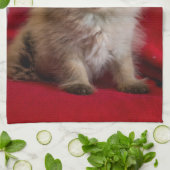 Kutest Baby Animals | Siamese Kitten Theedoek (Gevouwen)