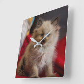 Kutest Baby Animals | Siamese Kitten Vierkante Klok (Hoek)