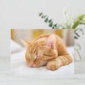 Kutest Baby Animals | Slaapgember Bedankkaart (Staand voorkant)