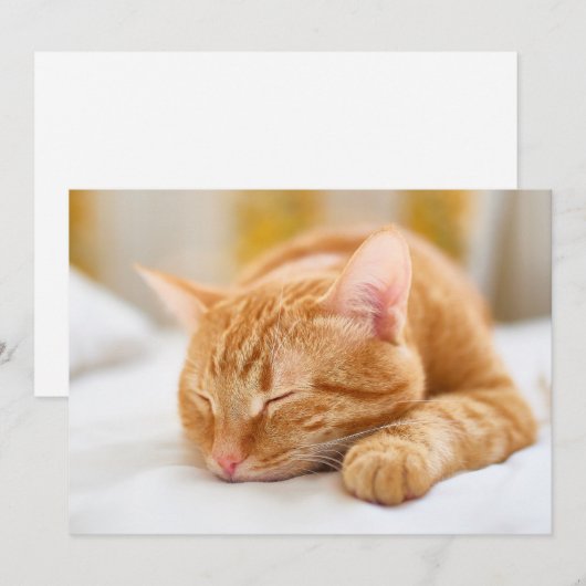 Kutest Baby Animals | Slaapgember Bedankkaart (Voorkant / Achterkant)