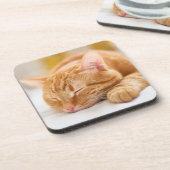 Kutest Baby Animals | Slaapgember Bier Onderzetter (Linkerzijde)