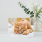 Kutest Baby Animals | Slaapgember Briefkaart (Staand voorkant)