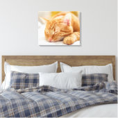 Kutest Baby Animals | Slaapgember Canvas Afdruk (Insitu (Slaapkamer))