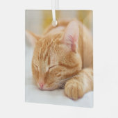 Kutest Baby Animals | Slaapgember Glas Ornament (Voorkant links)