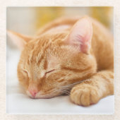 Kutest Baby Animals | Slaapgember Glazen Onderzetter (Voorkant)