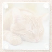 Kutest Baby Animals | Slaapgember Glazen Onderzetter (Achterkant)