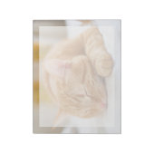 Kutest Baby Animals | Slaapgember Notitieblok (Linkerzijde)