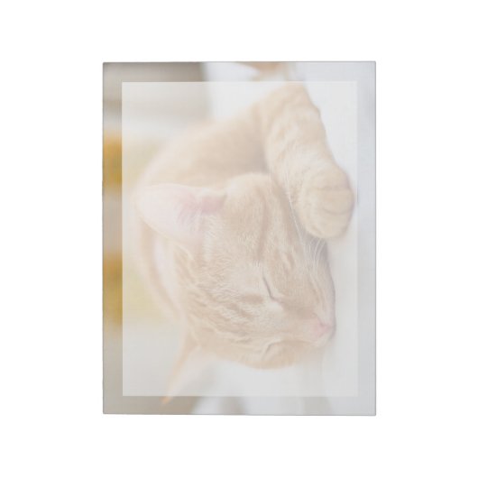 Kutest Baby Animals | Slaapgember Notitieblok (Linkerzijde)