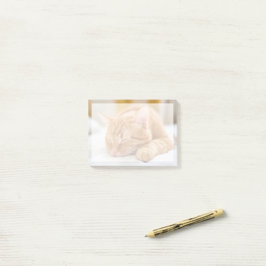 Kutest Baby Animals | Slaapgember Post-it® Notes (Op bureau)