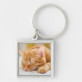 Kutest Baby Animals | Slaapgember Sleutelhanger (Voorkant)