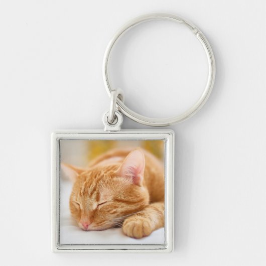 Kutest Baby Animals | Slaapgember Sleutelhanger (Voorkant)