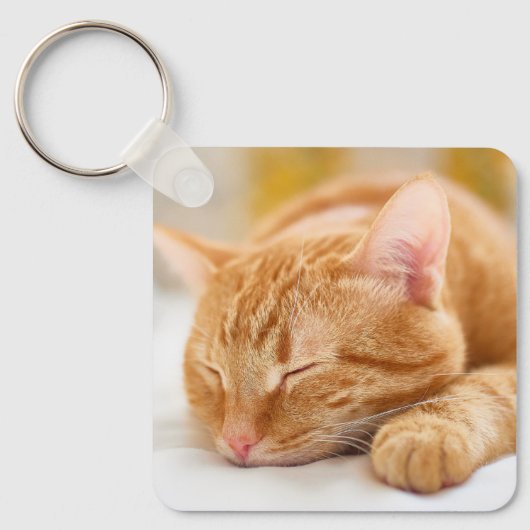 Kutest Baby Animals | Slaapgember Sleutelhanger (Voorkant)