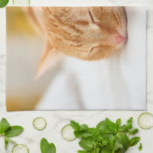 Kutest Baby Animals | Slaapgember Theedoek (Gevouwen)