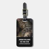 Kutest Baby Animals | Slaapgraatkatje Bagagelabel (Voorkant verticaal)