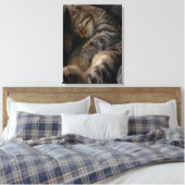 Kutest Baby Animals | Slaapgraatkatje Canvas Afdruk (Insitu (Slaapkamer))