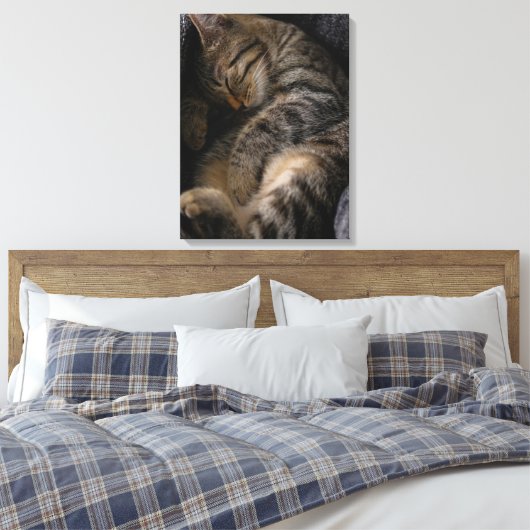 Kutest Baby Animals | Slaapgraatkatje Canvas Afdruk (Insitu (Slaapkamer))