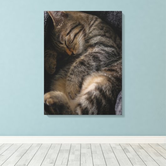 Kutest Baby Animals | Slaapgraatkatje Canvas Afdruk (Insitu (Houten vloer))