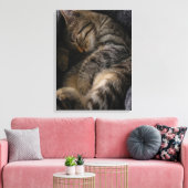 Kutest Baby Animals | Slaapgraatkatje Canvas Afdruk (Insitu (Woonkamer))