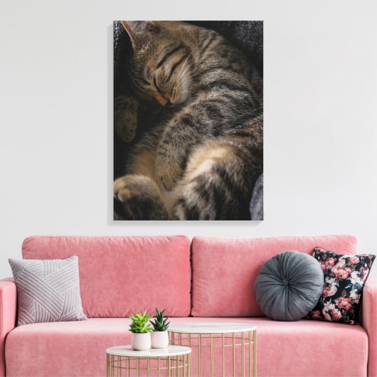 Kutest Baby Animals | Slaapgraatkatje Canvas Afdruk (Insitu (Woonkamer))