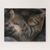 Kutest Baby Animals | Slaapgraatkatje Legpuzzel (Horizontaal)