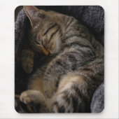 Kutest Baby Animals | Slaapgraatkatje Muismat (Voorkant)