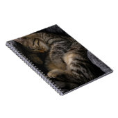 Kutest Baby Animals | Slaapgraatkatje Notitieboek (Rechterzijde)