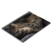 Kutest Baby Animals | Slaapgraatkatje Notitieboek (Linkerzijde)