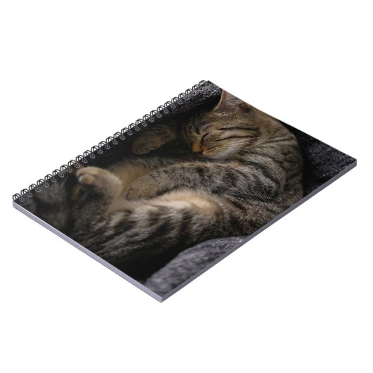 Kutest Baby Animals | Slaapgraatkatje Notitieboek (Linkerzijde)