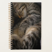 Kutest Baby Animals | Slaapgraatkatje Planner (Voorkant)