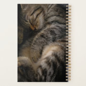 Kutest Baby Animals | Slaapgraatkatje Planner (Achterkant)