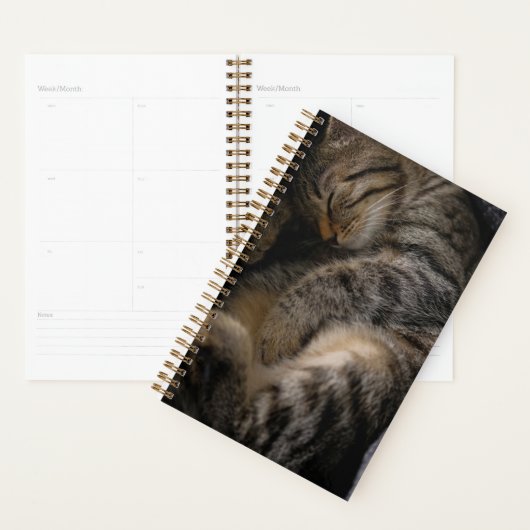 Kutest Baby Animals | Slaapgraatkatje Planner (Display)