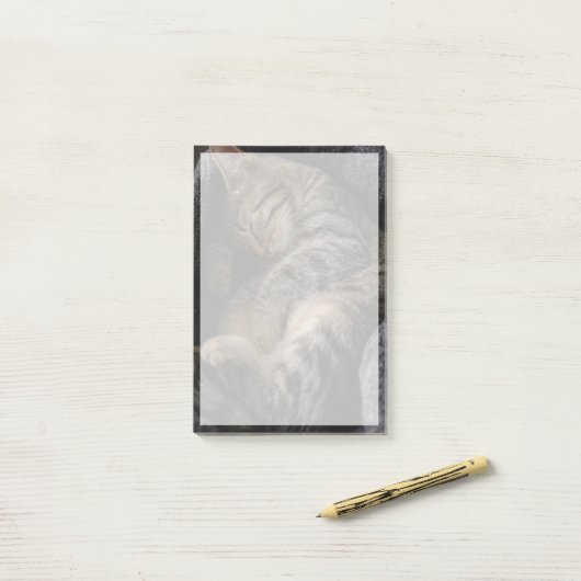 Kutest Baby Animals | Slaapgraatkatje Post-it® Notes (Op bureau)