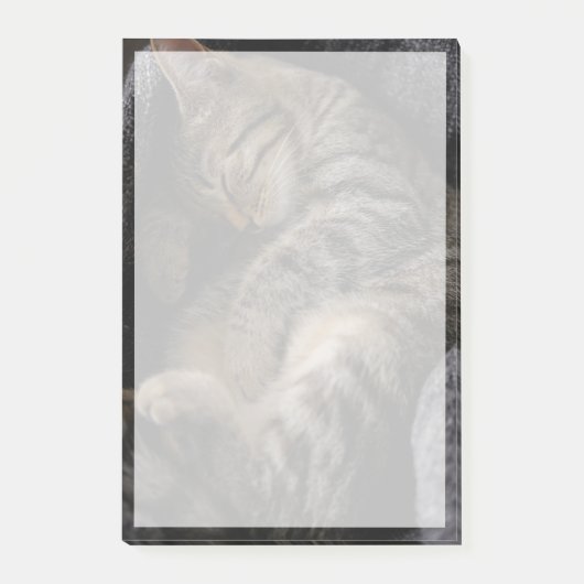 Kutest Baby Animals | Slaapgraatkatje Post-it® Notes (Voorkant)