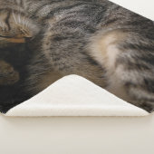 Kutest Baby Animals | Slaapgraatkatje Sherpa Deken (3/4)