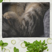 Kutest Baby Animals | Slaapgraatkatje Theedoek (Gevouwen)