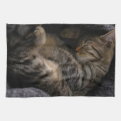 Kutest Baby Animals | Slaapgraatkatje Theedoek (Horizontaal)