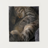 Kutest Baby Animals | Slaapgraatkatje Wandkleed (Voorkant)