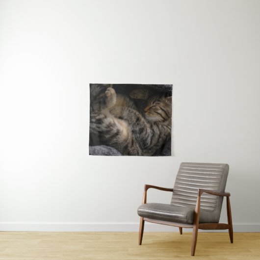 Kutest Baby Animals | Slaapgraatkatje Wandkleed (In Situ (horizontaal))